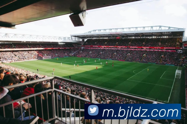 百家乐网站APP 封面图